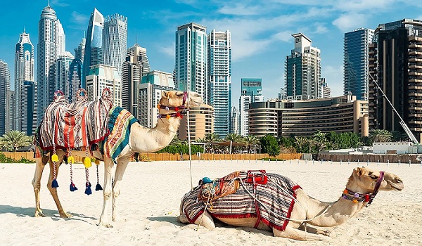Limba oficiala Dubai